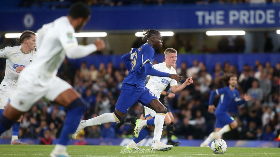 大稳定性 大稳定性